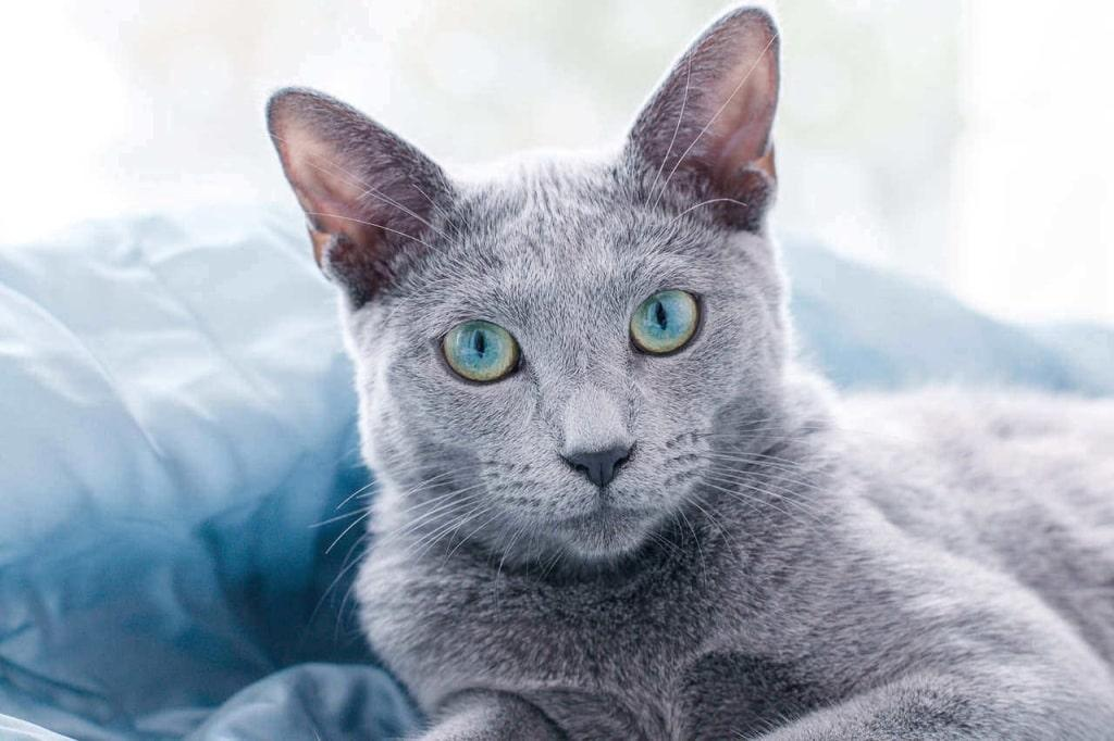 До 150тыс. рублей!