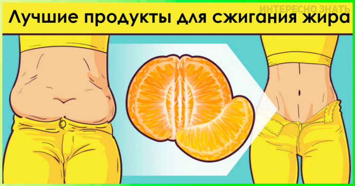 Оригинал: https://vkurselife.com/wp-content/uploads/2019/06/897661-1532454339-730x382.png