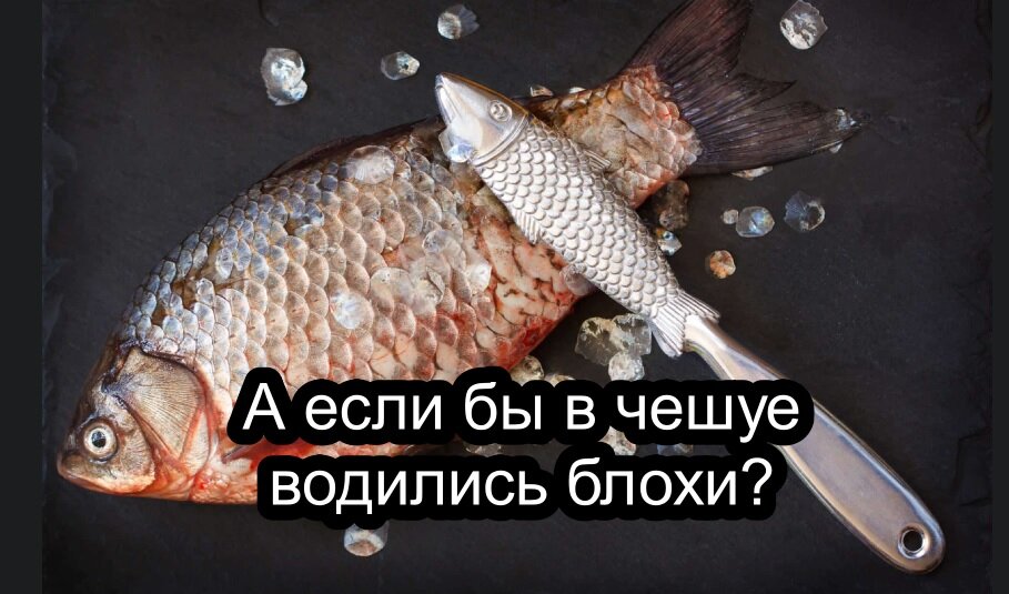 Блохи у рыбы