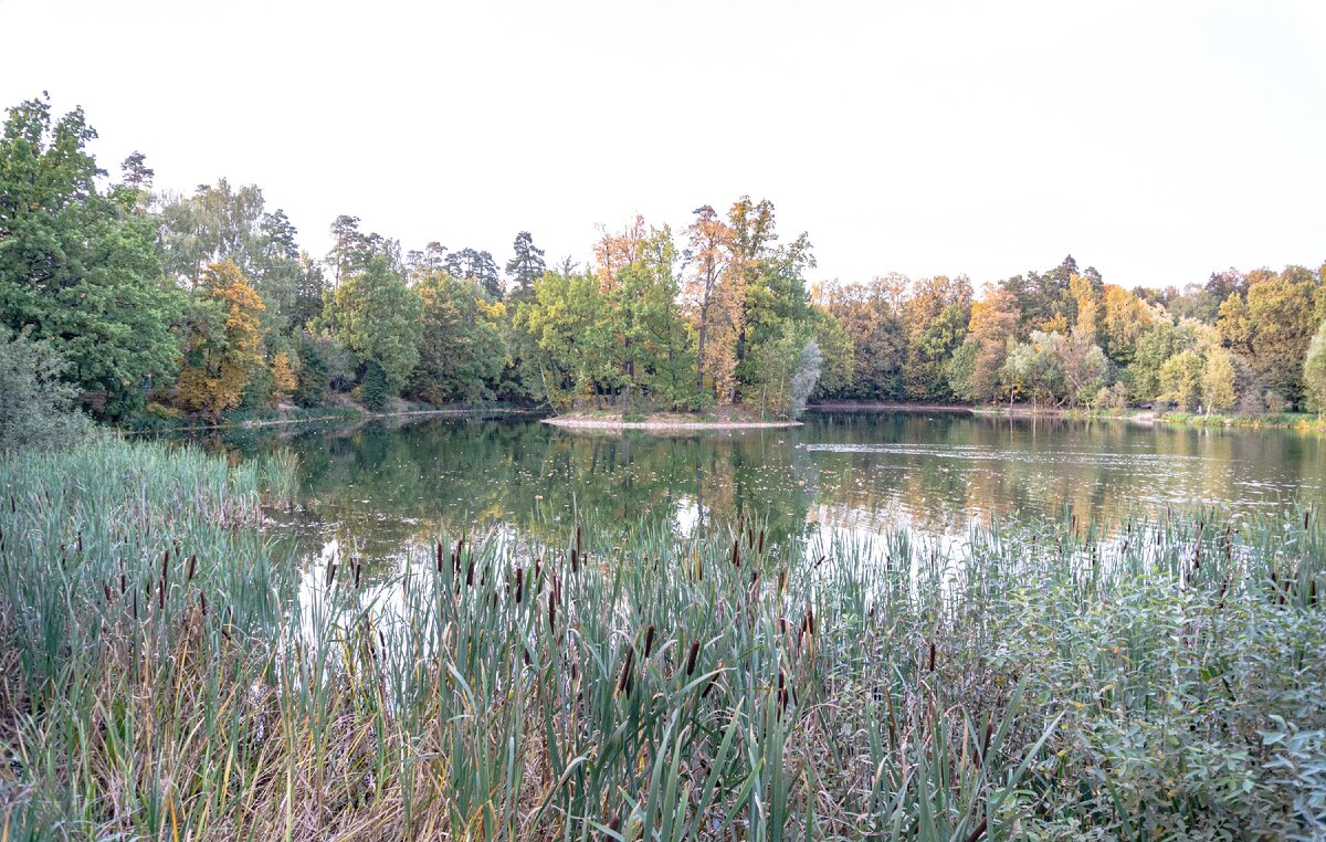 2. Остров в центре кадра.