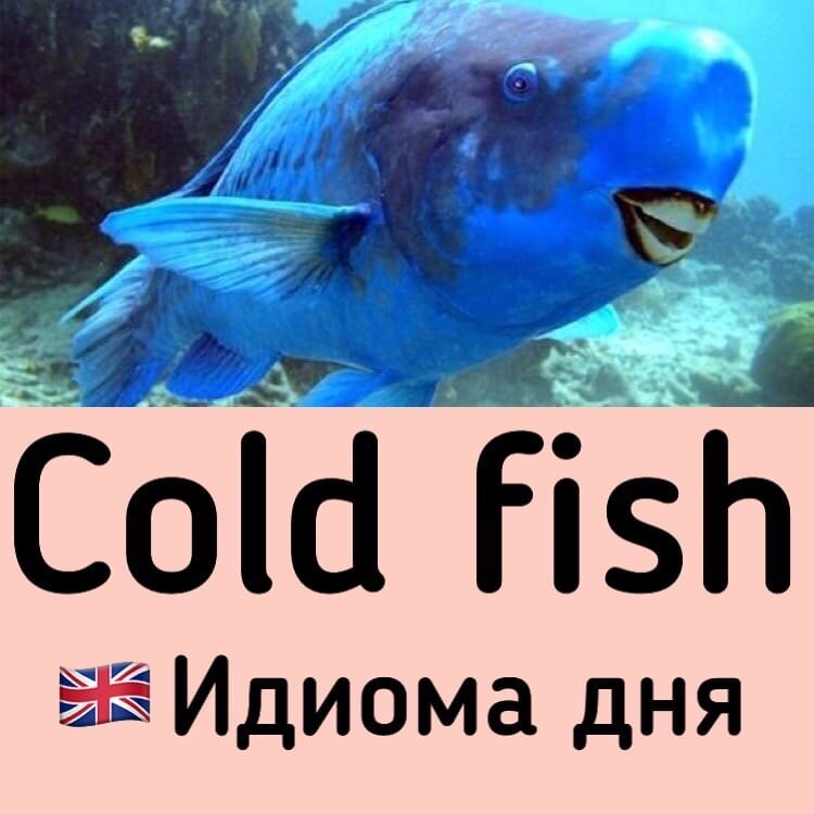 Уникальная картинка автора
