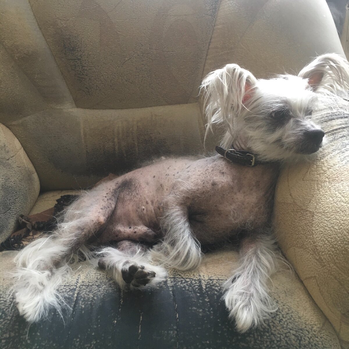 Фото собственное, наш Мартин