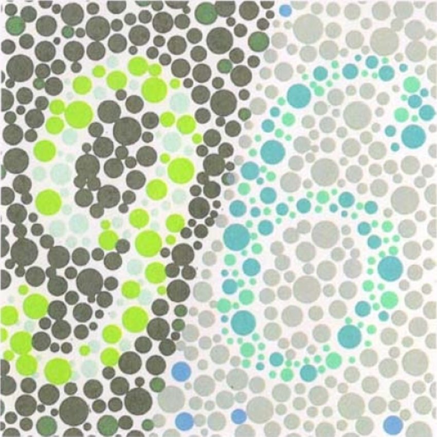 На картинке изображены цифры “9” и “6”, которые видны как людям с нормальным зрением, так и людям с дальтонизмом. Картинка призвана объяснить и показать людям, что именно требуется делать при прохождении теста.