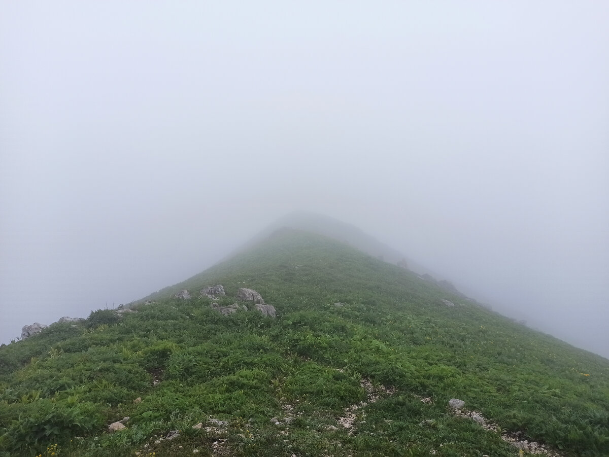 Здесь должны были быть виды Альпийских лугов 😃