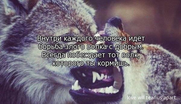Быть добрым. Каждый может быть добрым. Доброта картинки. Добрые стихи о жизни и счастье. Добрым быть сложнее.