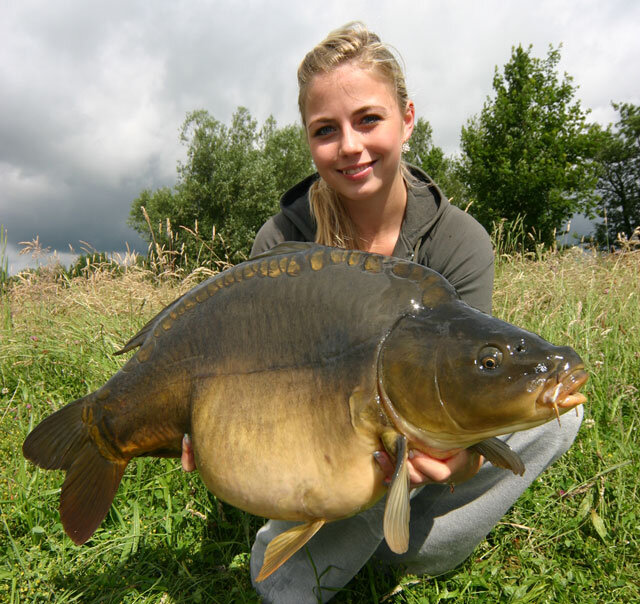 Карп монстр. Оригинал фотографии - https://clck.ru/W6MKZ