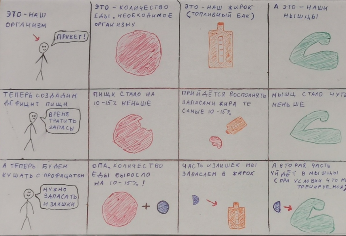 Вот как-то так ведёт себя наш организм. 