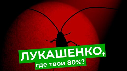 Video herunterladen: Что белорусы думают о протестах? Реальный выбор жителей Минска