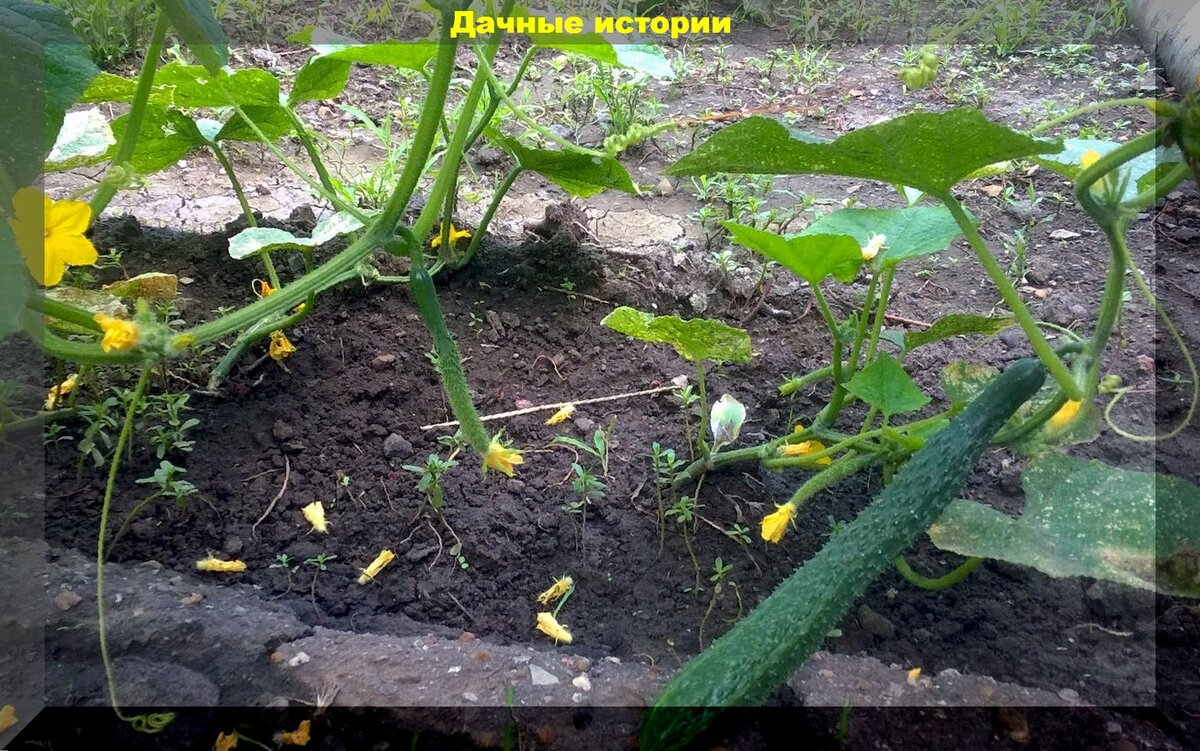 https://vk.com/photo-159774511_457248963
