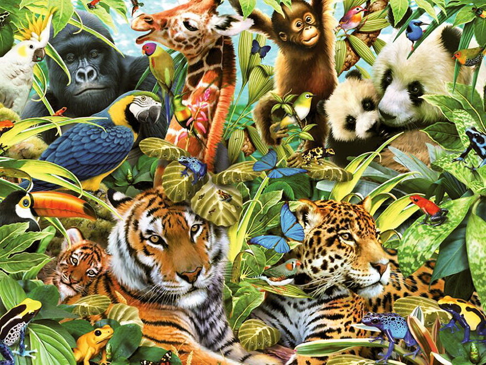 Где много звери. Животные джунглей. Обитатели джунглей для детей. Тропический лес животные. Звери джунгли.