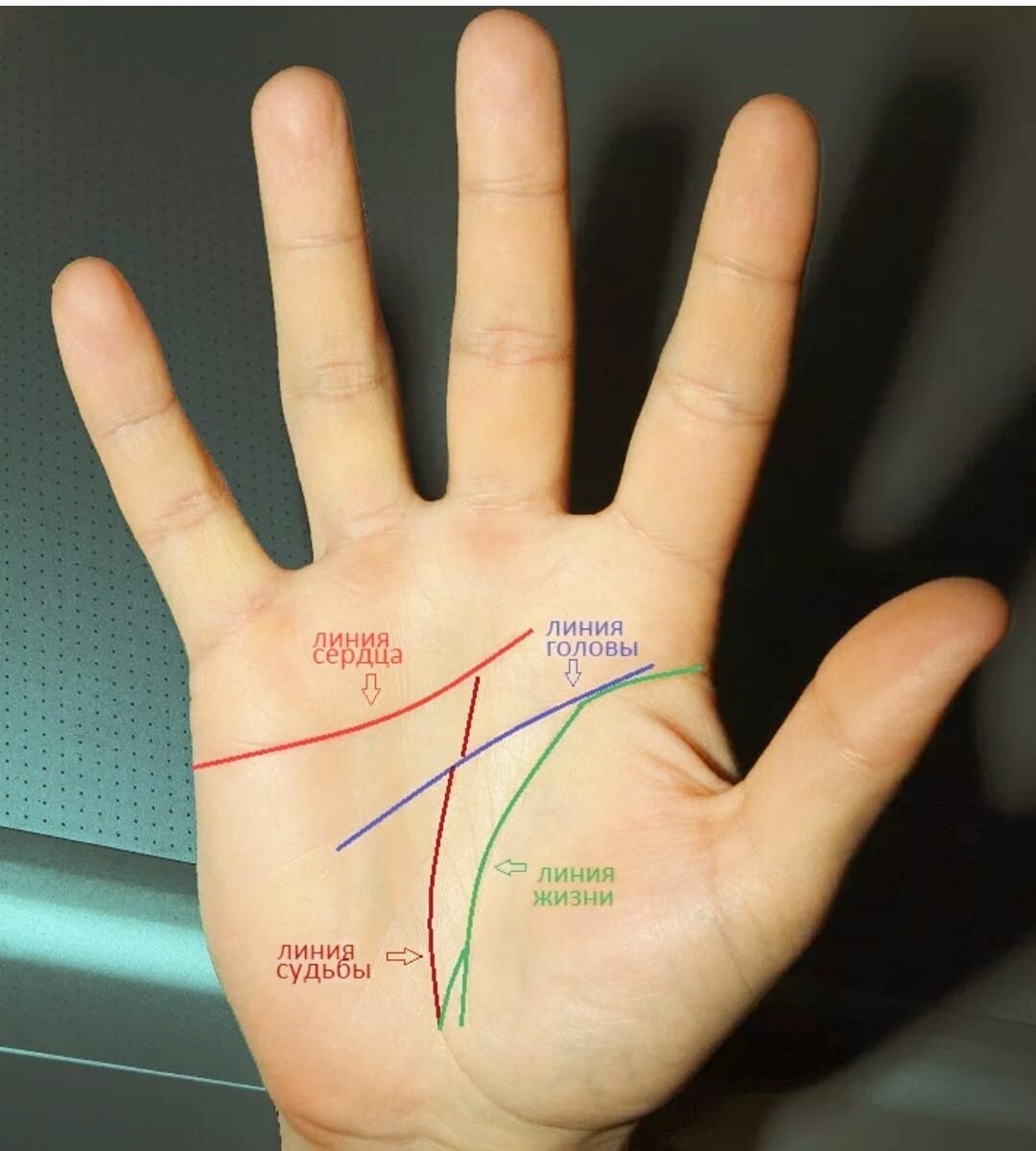 Как читать линии на руках: правила и особенности — Астрология