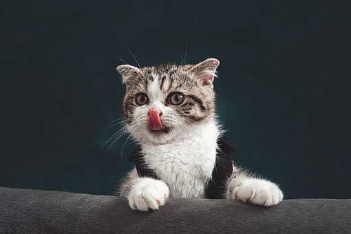 Фото взято из открытых источников