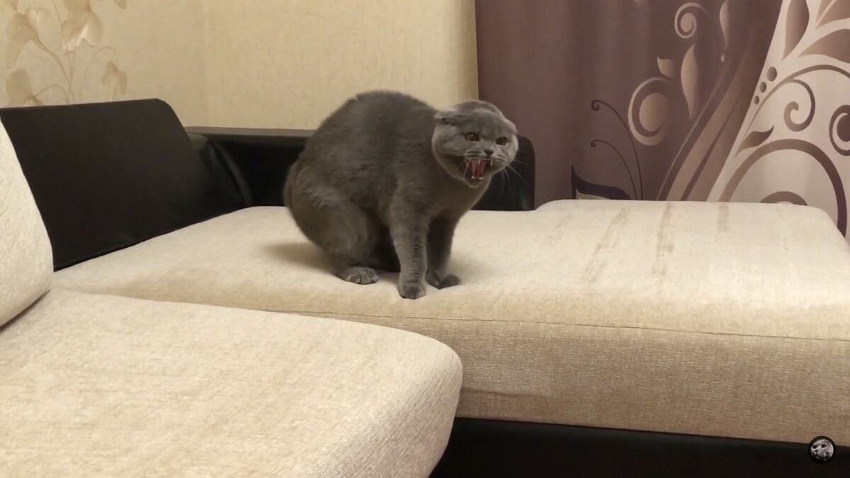 Космос в гневе и ужасе одновременно