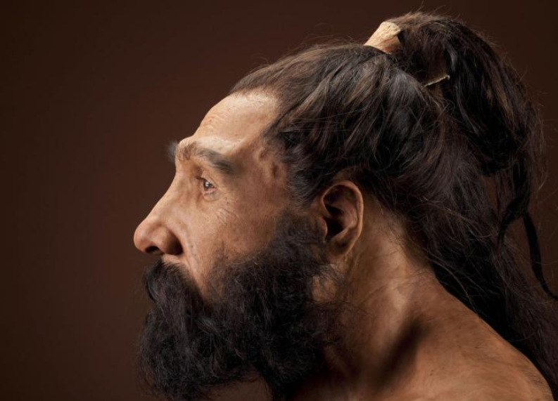 Лоб неандертальцев. Хомо неандерталец реконструкция. Неандерталец "homo neandertalets". Хомо сапиенс неандерталенсис. Кроманьонцы реконструкция внешности.