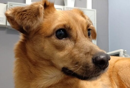 Фото: @allaleonkina