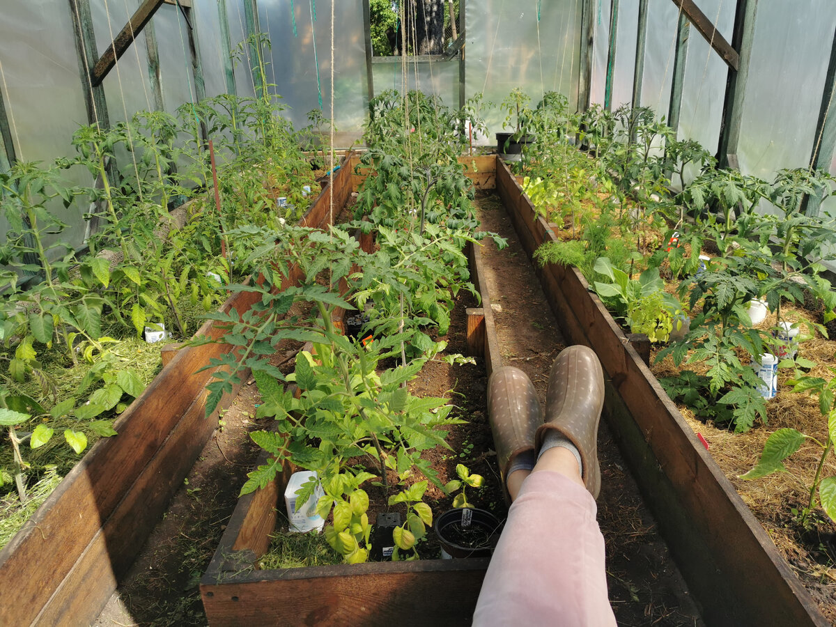 Май. Латвия. 3 * 6 м.