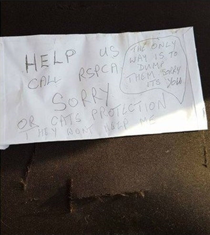 Записка из чемодана. Источник фото: https://www.huffpost.com/entry/saddening-note-left-with-abandoned-kittens_n_5601566de4b0fde8b0cfaf99?guccounter=1