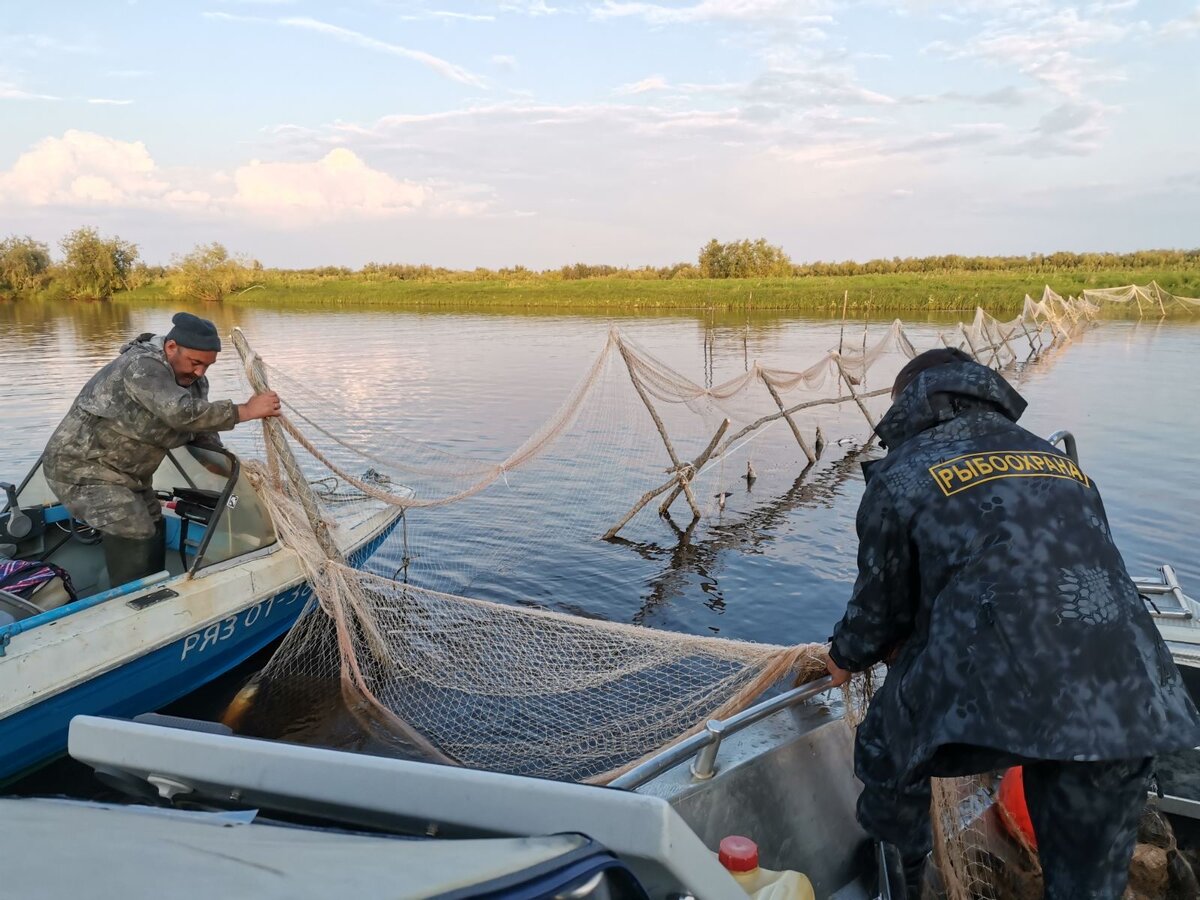 Рыбоохрана на работе. Яндекс картинки