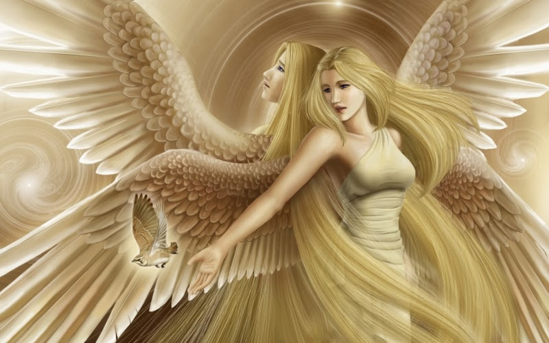 https://2.bp.blogspot.com/_AmAnad12440/S6EgOJniPoI/AAAAAAAAAe8/HZau5RP-0nc/s1600/blond+angels.jpg