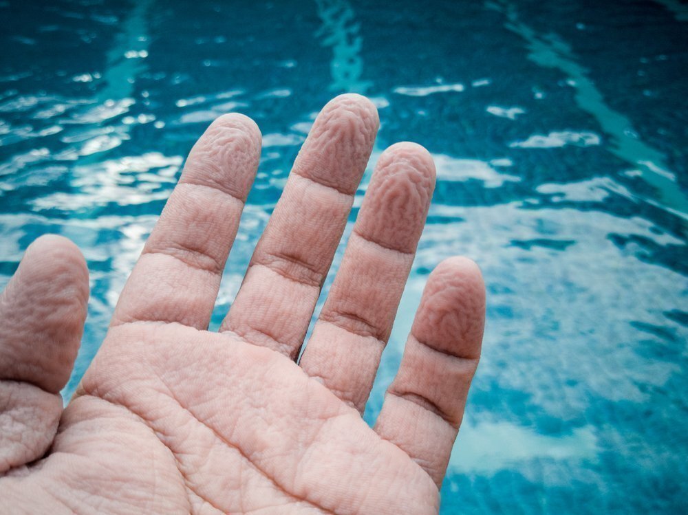 Por qué se arrugan los dedos en el agua