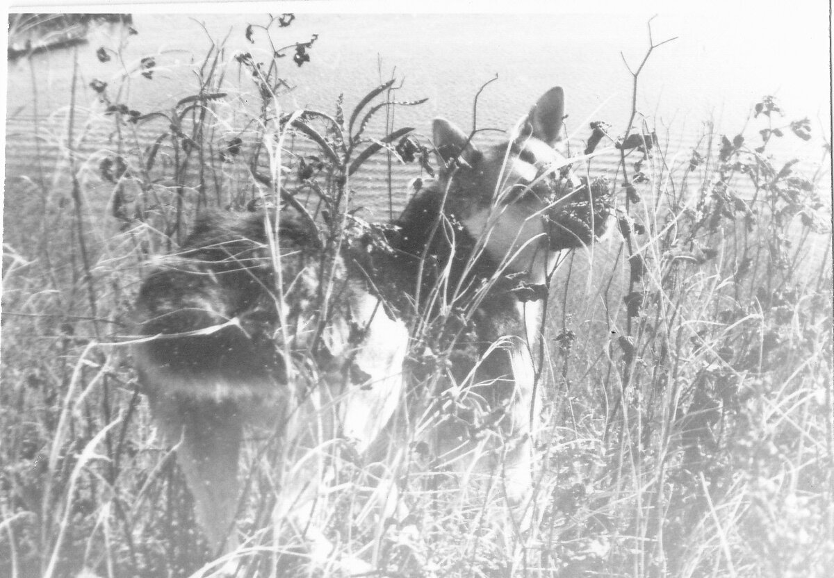 Том. Фото из семейного архива