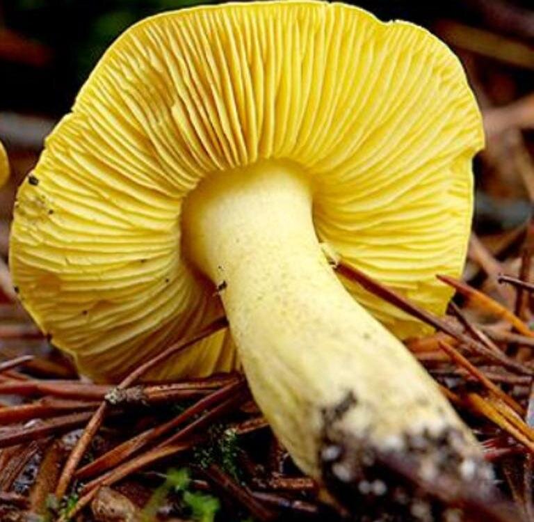 Фото из семейного архива автора