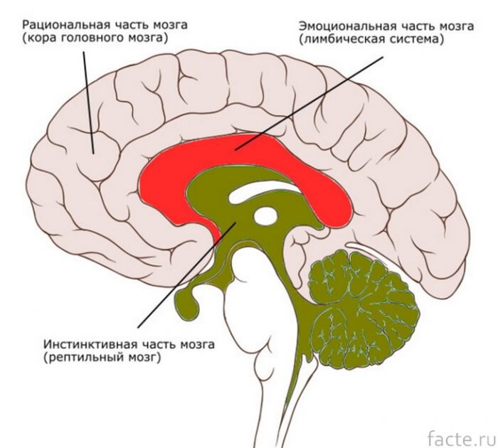 Удачная картинка из интернета.