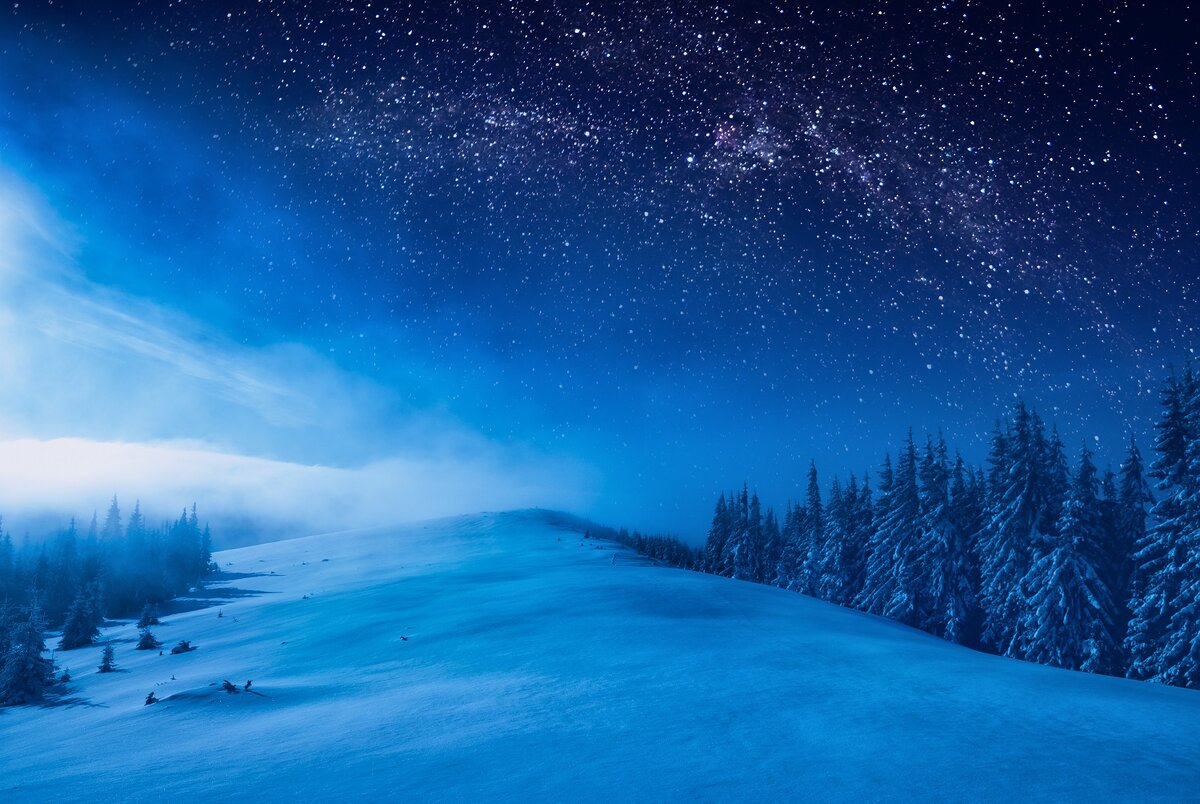 Фото: shutterstock.com