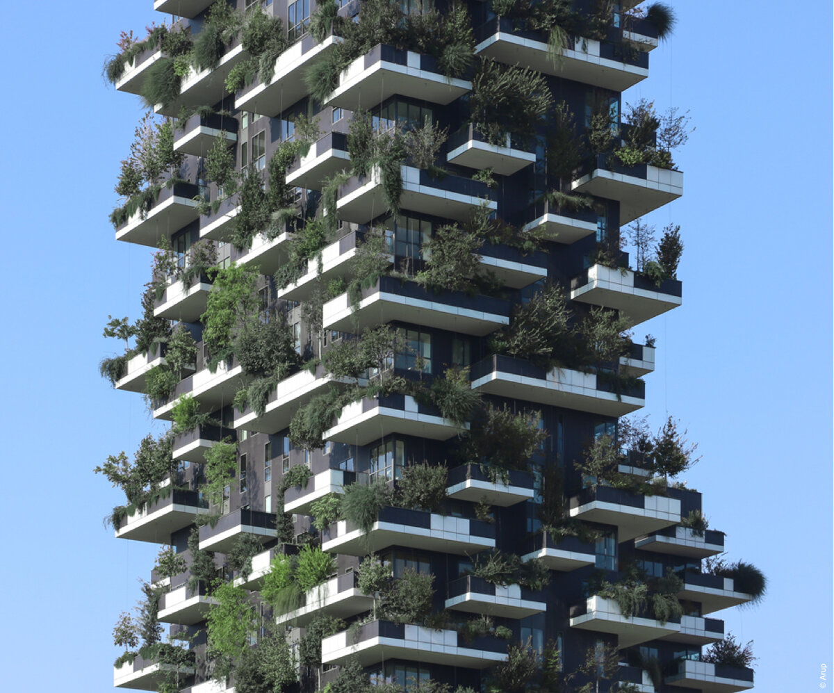 Башня летом фото residenzeportanuova.com