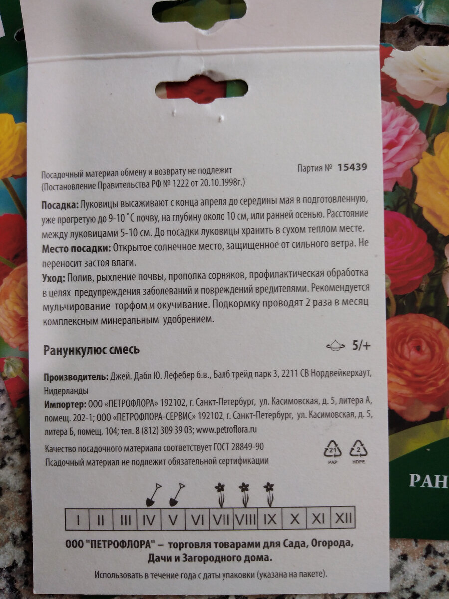 Ранункулюсы из фикс прайс. Сколько клубней проросли? | Дача на берегу Волги  | Дзен