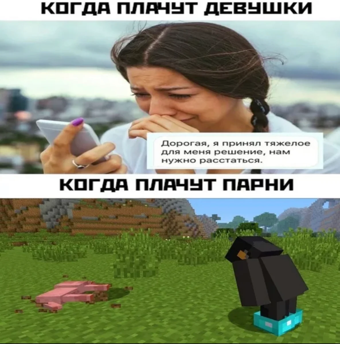Майнкрафт memes. Мемы про майнкрафт. Меса майнкрафт. Смешные картинки майнкрафт. Мемы с МАЙНКРАФТОМ.