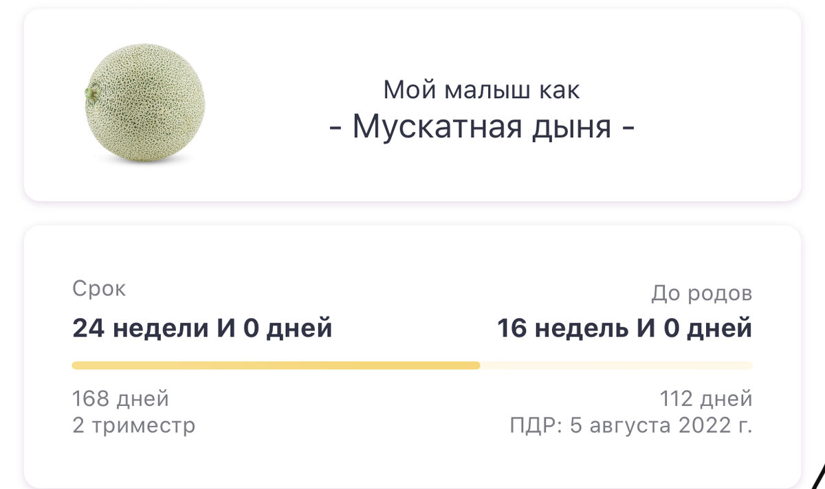 #24 недели беременности 