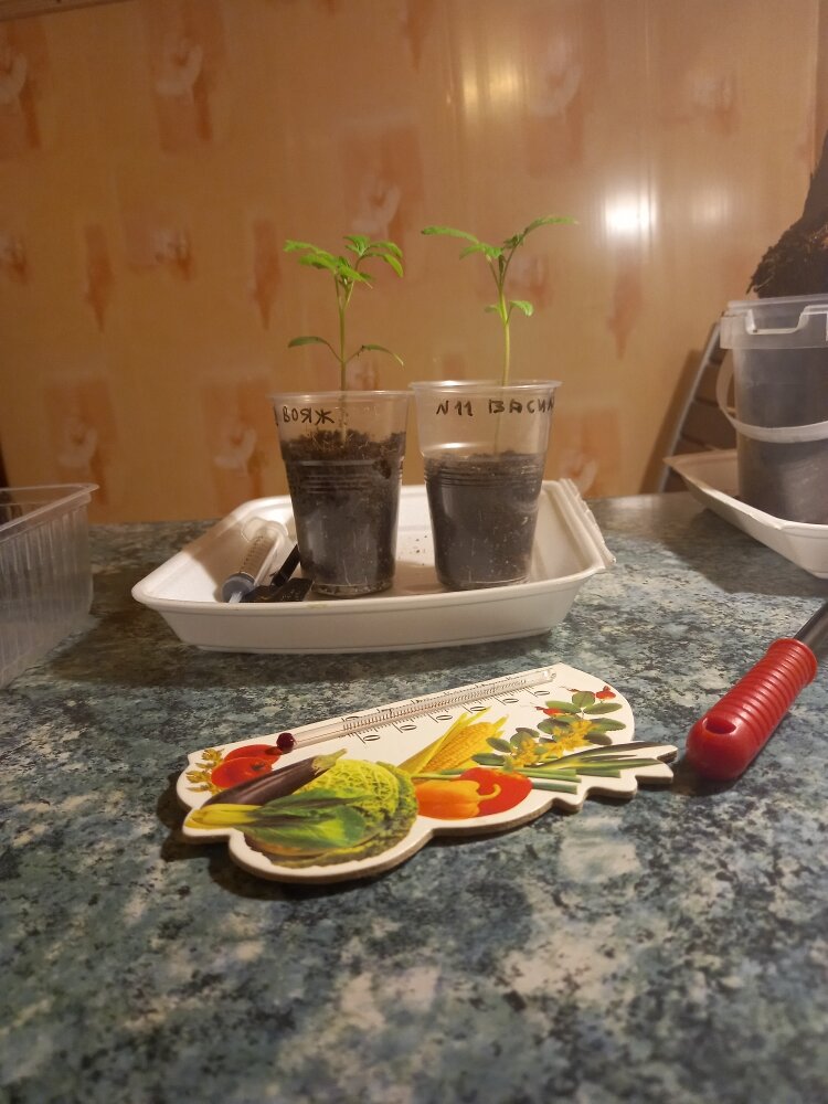 До и после добавления грунта