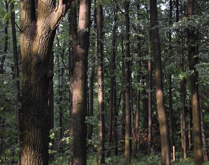    Фото из группы ВООПИиК Рязань ВКонтакте