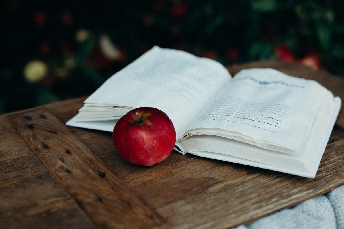 Фото: Liana Mikah / unsplash.com