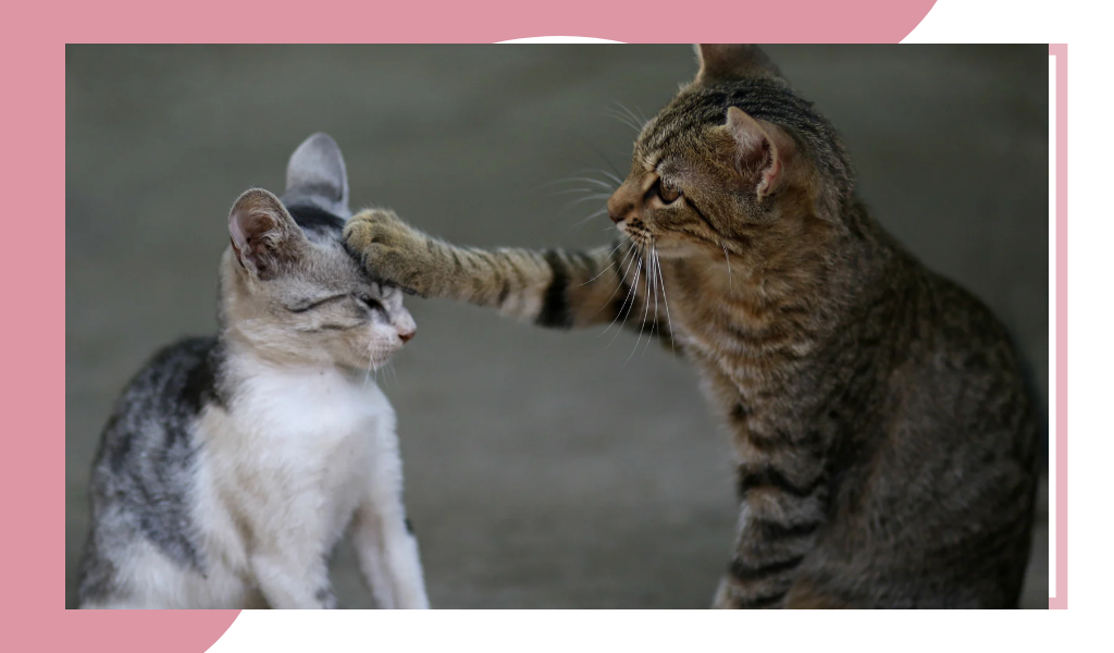 Фотография из открытых источников