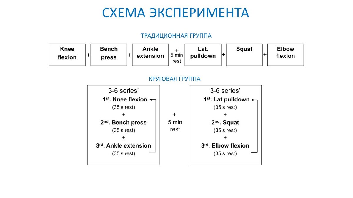 Рисунок 1. Схема тренировок двух экспериментальных групп.