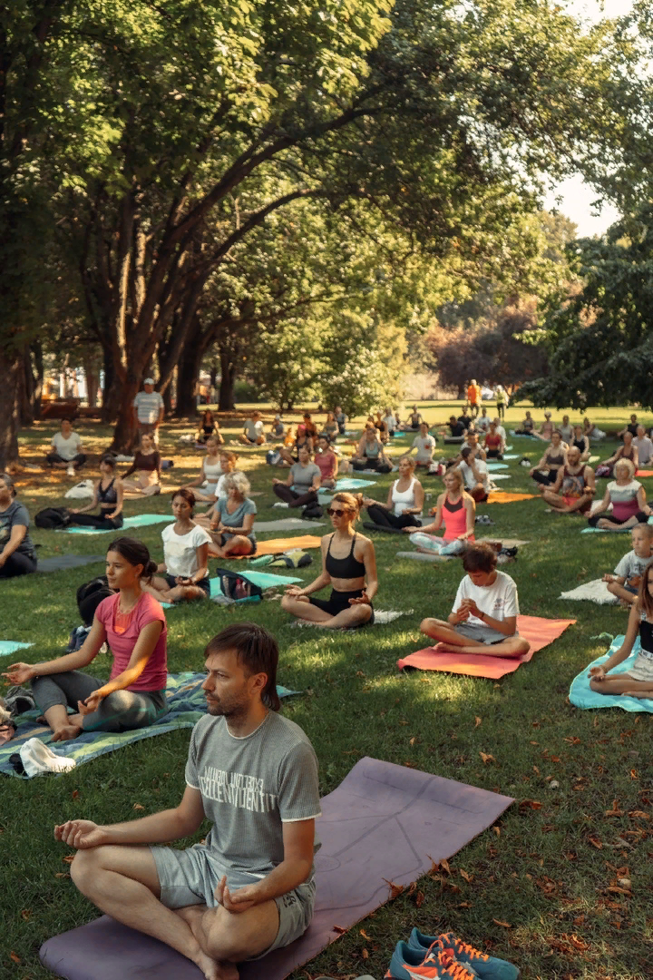 Источник фото: https://vk.com/yoga_v_parke_kaliningrad