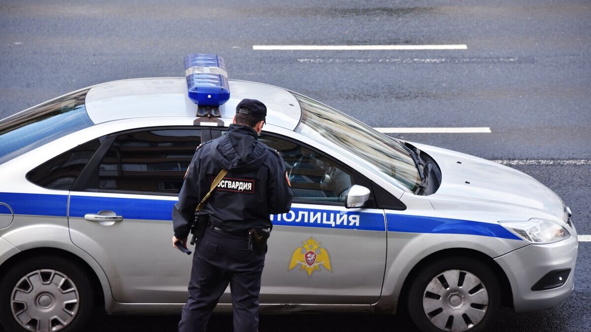    Сотрудник Росгвардии у полицейской машины© РИА Новости / Наталья Селиверстова