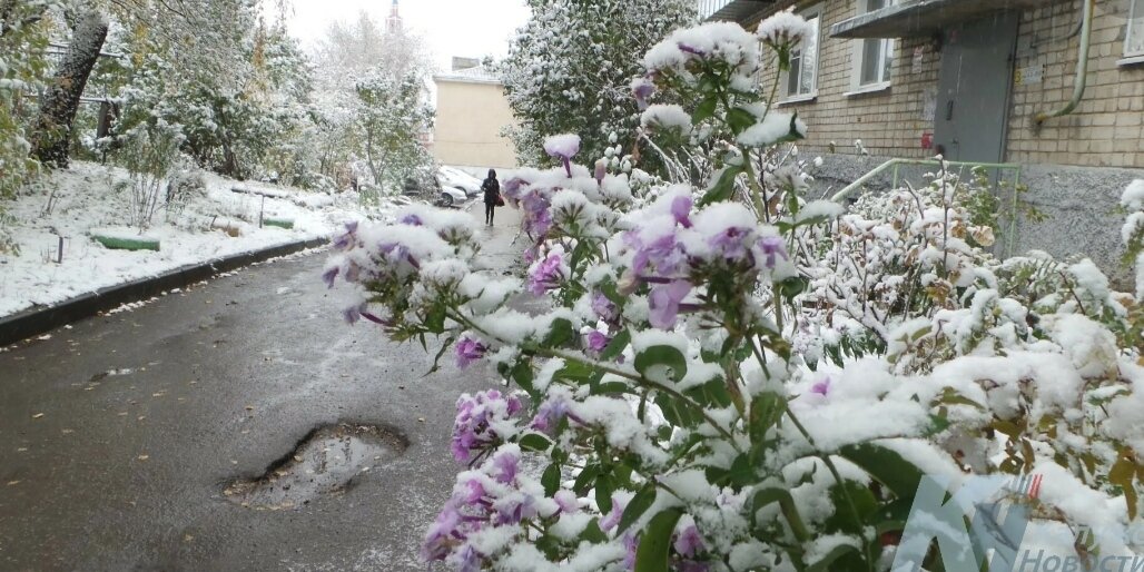 Фото с интернета 