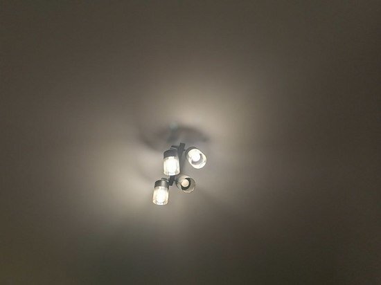     фото: МК в Туле.