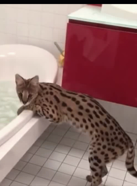 источник:youtube