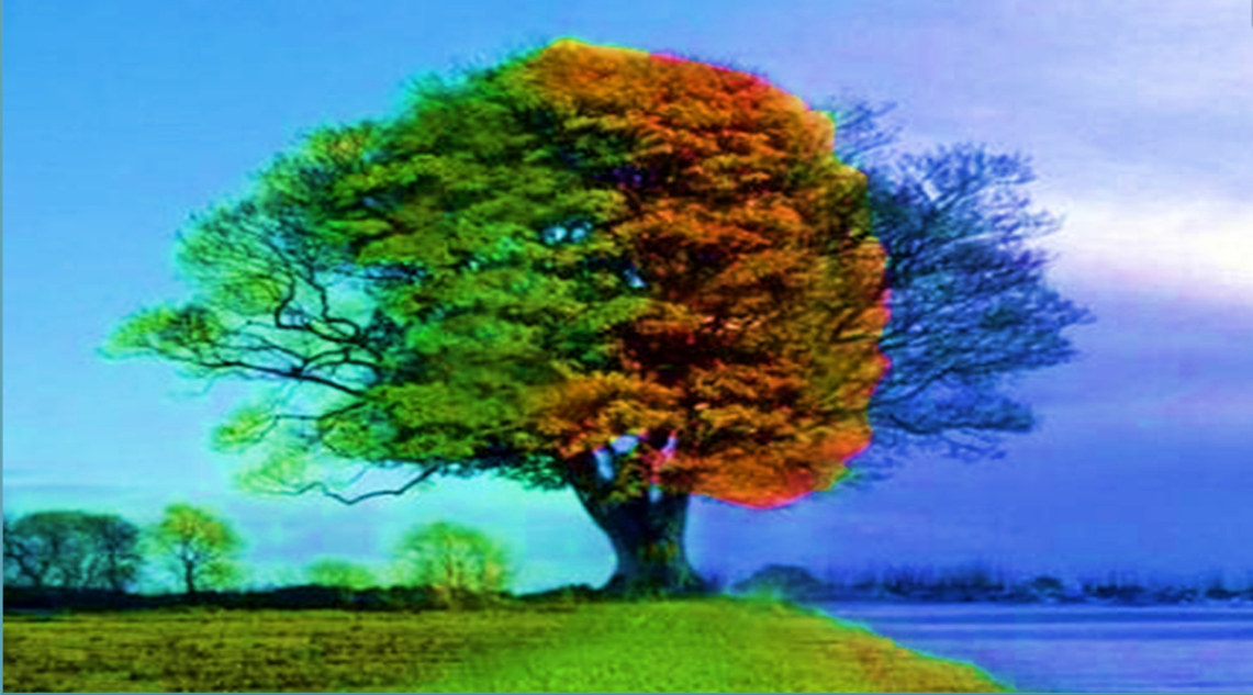 иллюстрация из Яндекс картинок