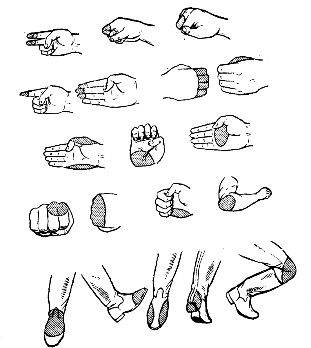 Рис. 1 Ударные части рук и ног используемые в схватках. 