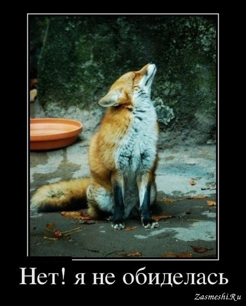 Картинка из свободного доступа