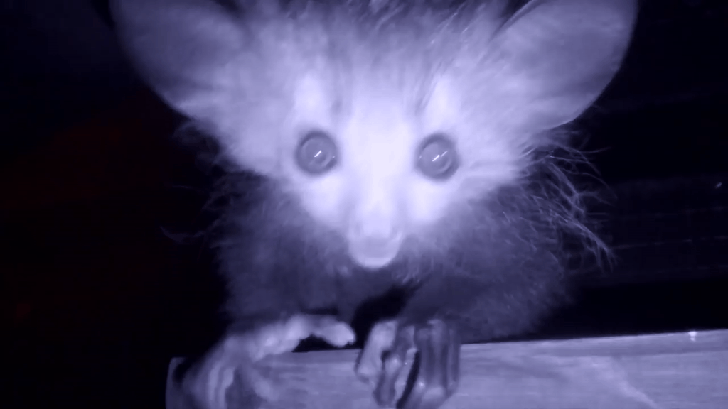 Источник: youtube.com