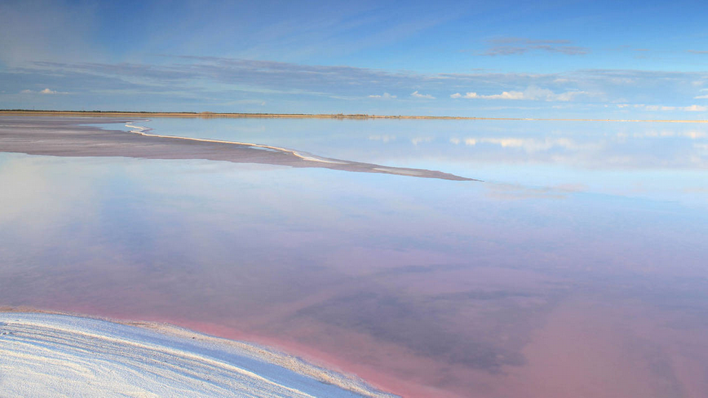 Степное озеро алтайский край