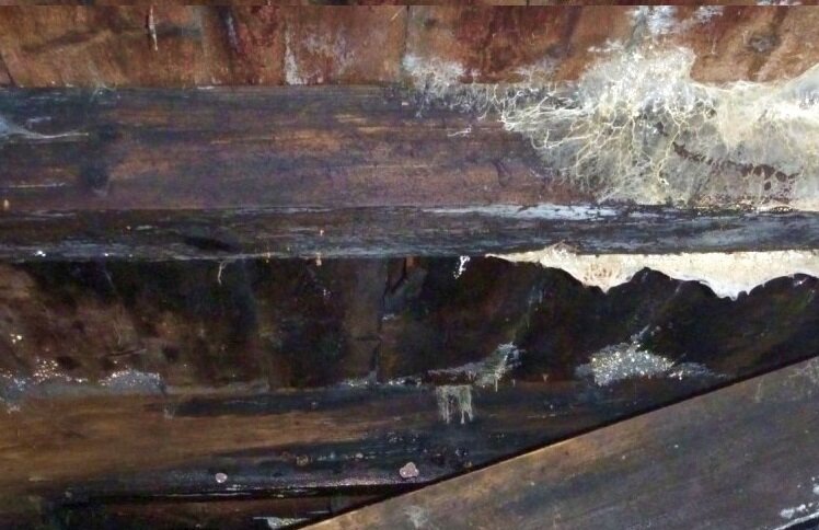 Фото: повышенная влажность подпольного пространства грозит гниением несущих конструкций.