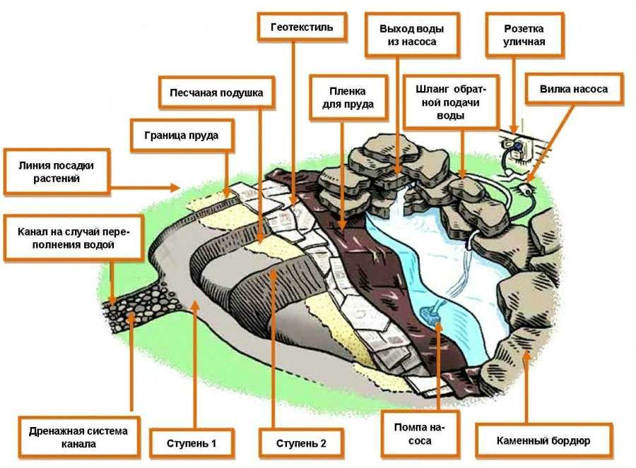 Устройство искусственных. Устройство пруда на участке схема. Схема устройства искусственных водоемов. Устройство искусственного водоема чертеж. Схема устройства декоративного пруда.