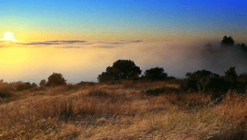 Настойка скорости, количества кадров, размера.